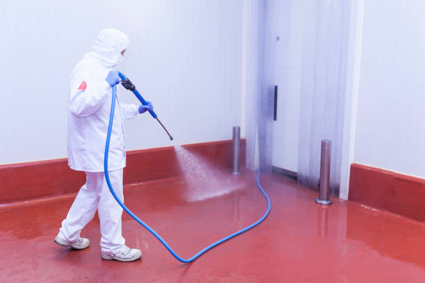 Best Boat and Dock Cleaning  in Vevay, IN